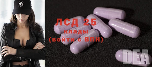 PSILOCYBIN Покачи
