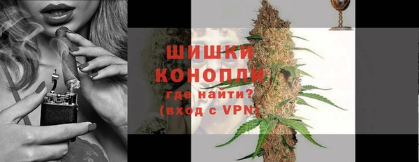 PSILOCYBIN Покачи
