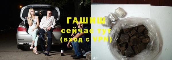PSILOCYBIN Покачи