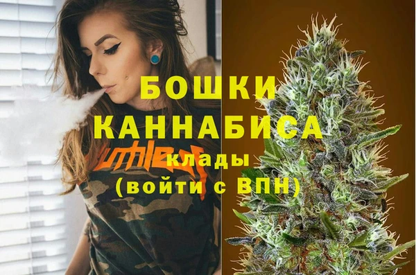 PSILOCYBIN Покачи