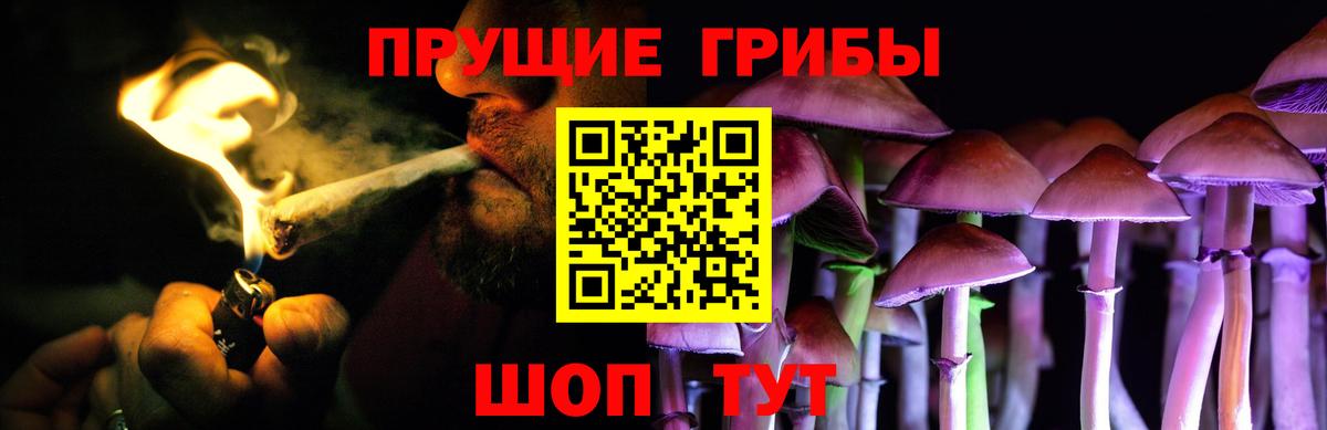 Псилоцибиновые грибы прущие грибы  Вход с VPN  Рославль  Псилоцибиновые грибы ЛСД 
